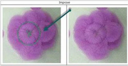 Image illustrates construction of petal flower with petals sewn down at center 