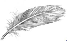 Picture 153